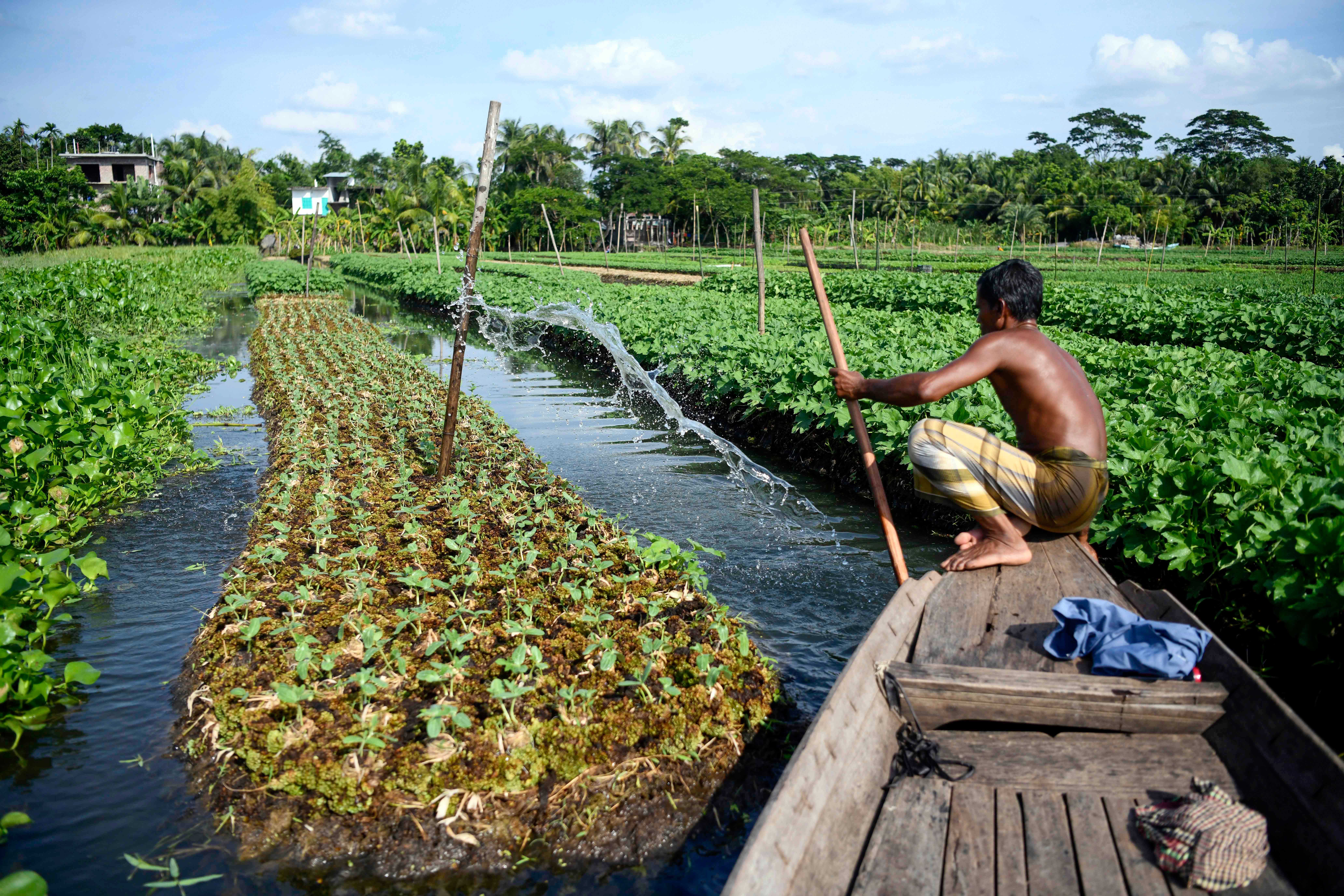 Floating agriculture